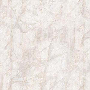 3554 - TS Pockhara Marble